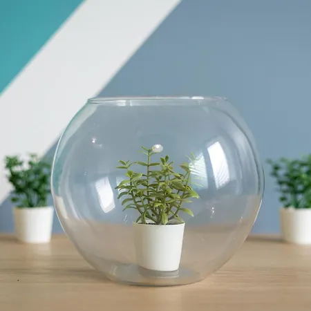 Home2book Terrace Retreat El *