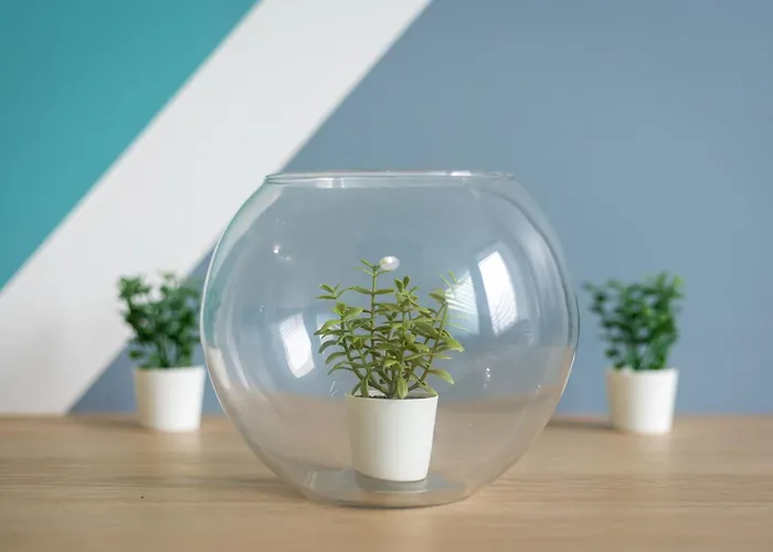 Home2book Terrace Retreat El *